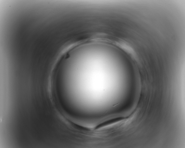 X0000088661231200706011234