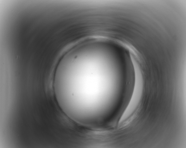 X0000088661240200706011234