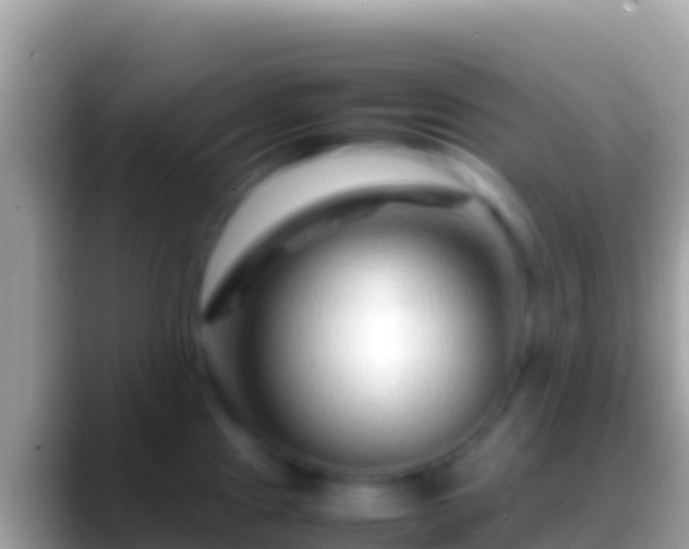 X0000088661241200706011234