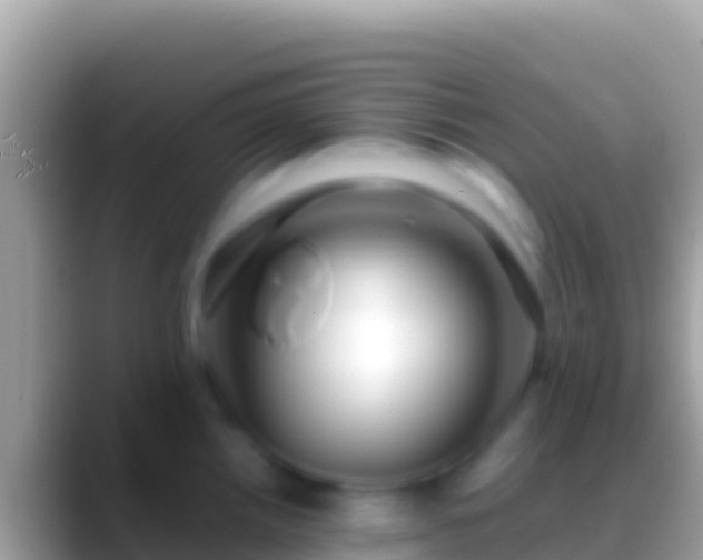 X0000088661242200706011234