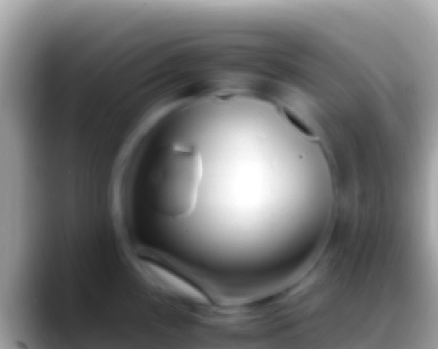 X0000088661243200706011234