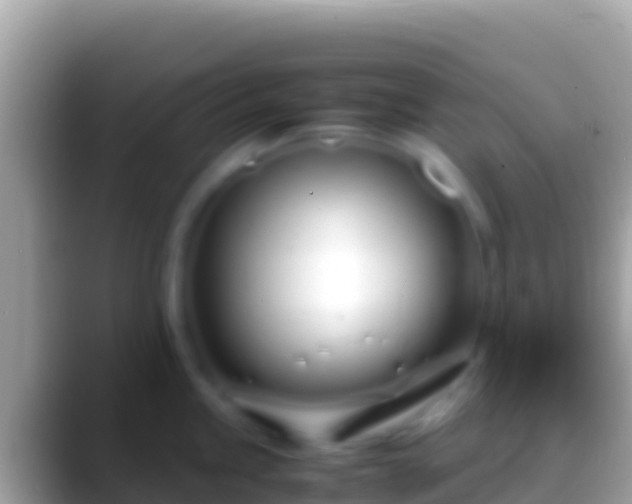 X0000088661245200706011234