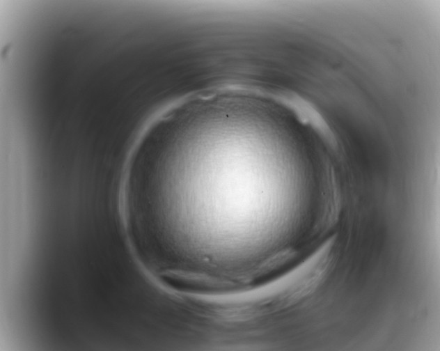 X0000088661247200706011234