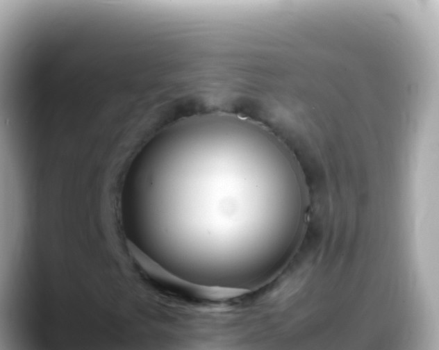 X0000088661249200706011233