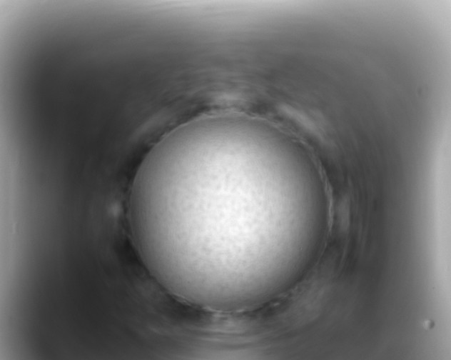 X0000088661254200706011233