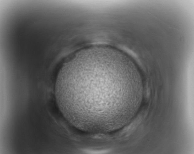 X0000088661255200706011233