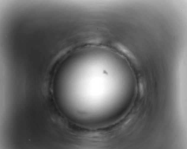 X0000088661256200706011233