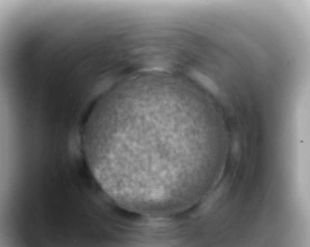 X0000088661258200706011233