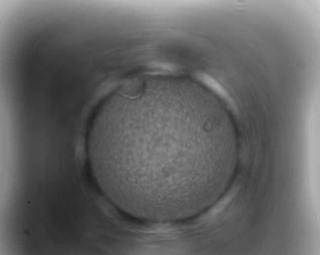 X0000088661259200706011233