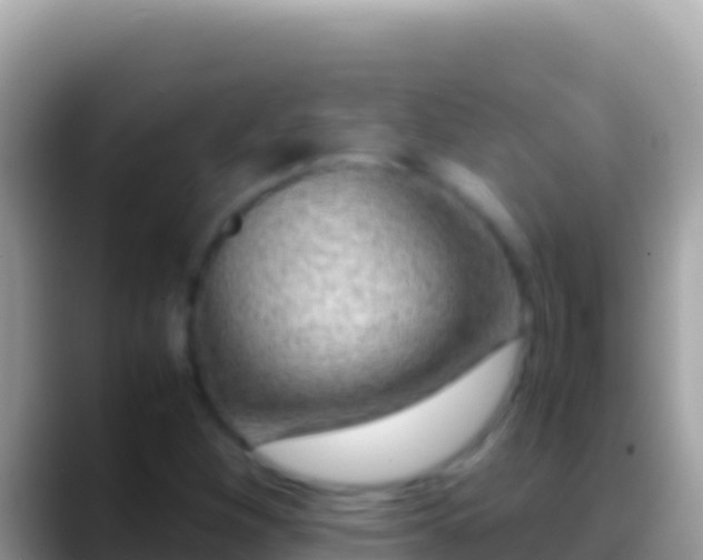 X0000088661260200706011233