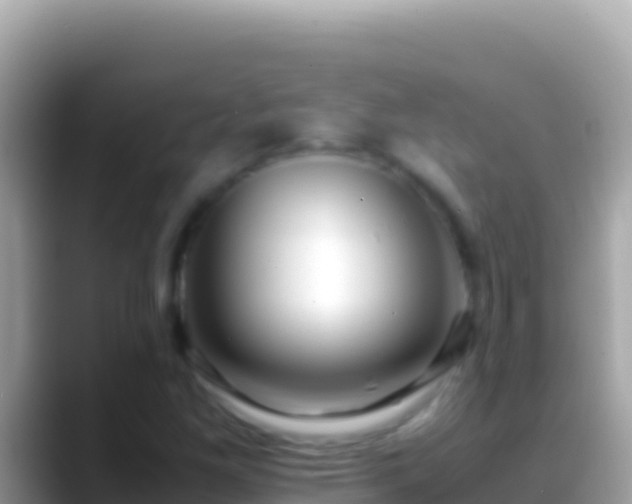 X0000088661261200706011233