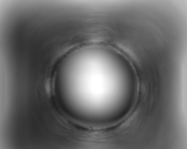 X0000088661262200706011233