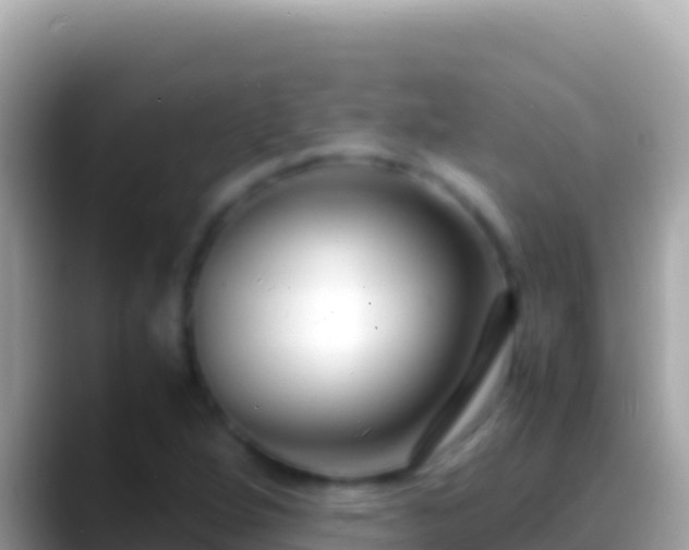 X0000088661264200706011233