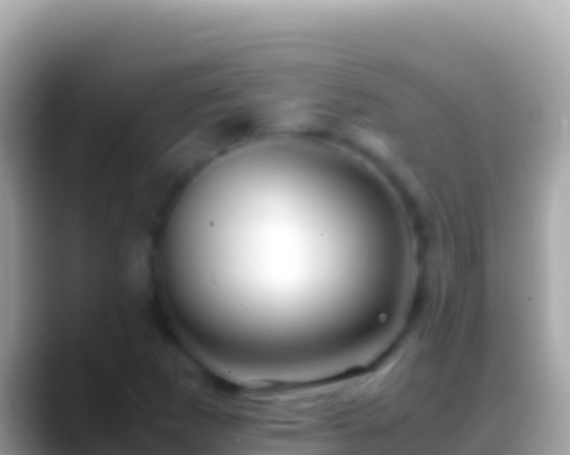 X0000088661265200706011233