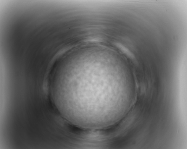 X0000088661266200706011233