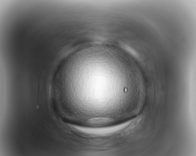 X0000088661267200706011233