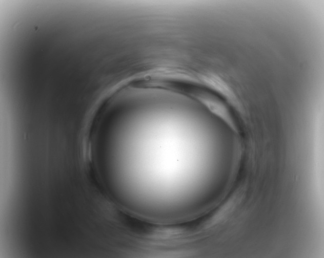 X0000088661269200706011233