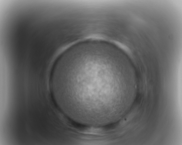 X0000088661271200706011233