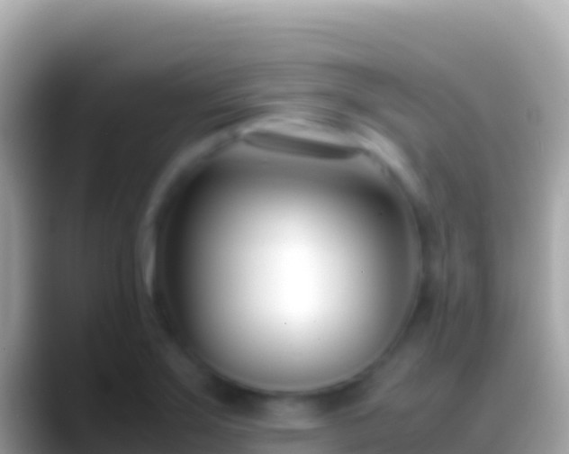 X0000088661275200706011233