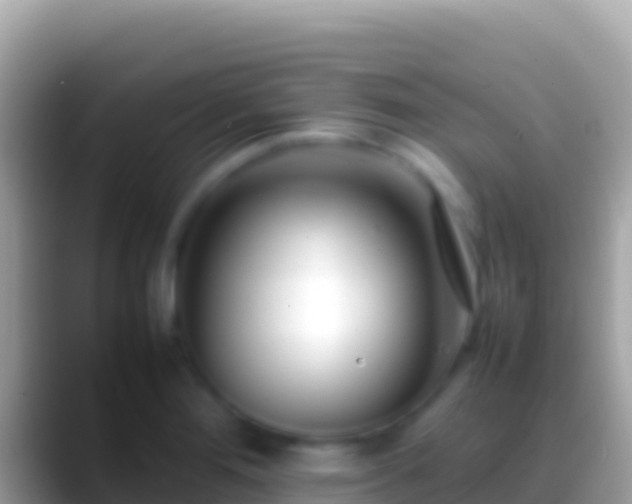 X0000088661276200706011233