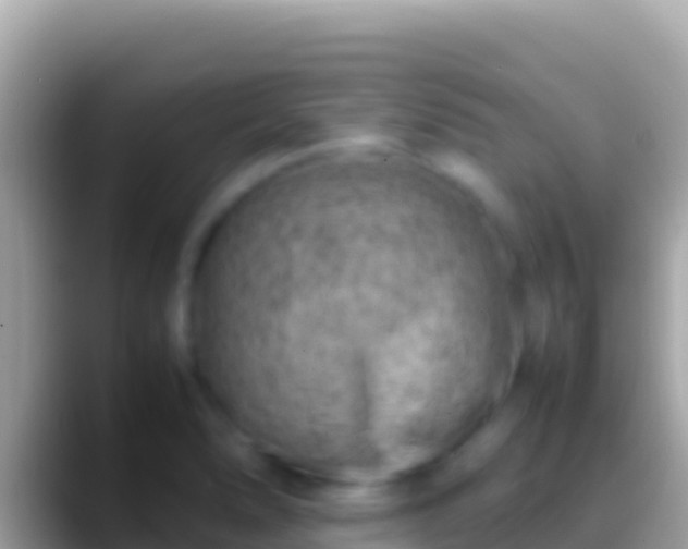 X0000088661278200706011233