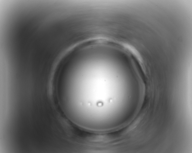 X0000088661279200706011233