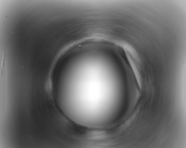 X0000088661280200706011233