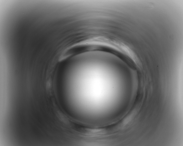 X0000088661281200706011233