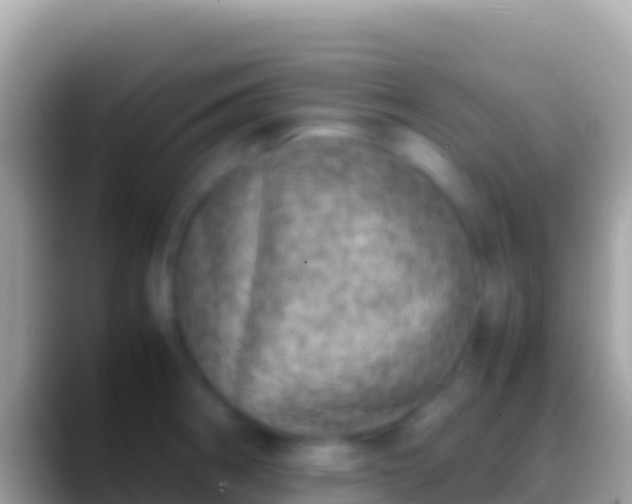 X0000088661282200706011233