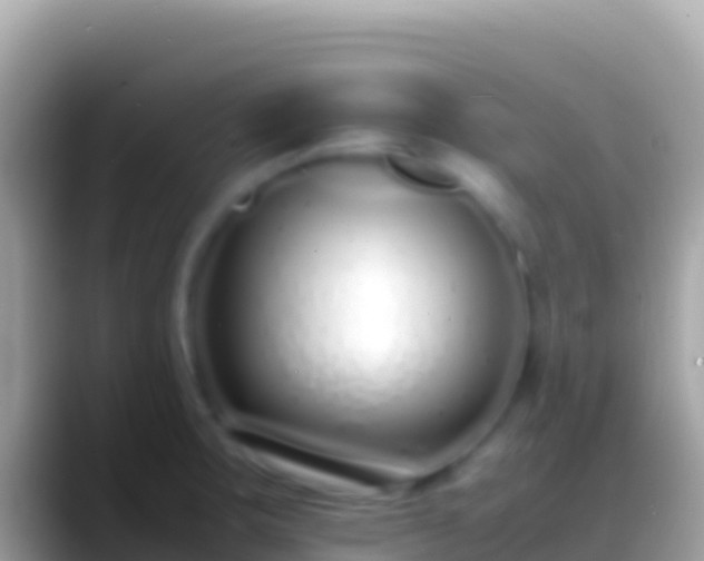 X0000088661283200706011233