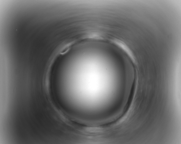 X0000088661285200706011233