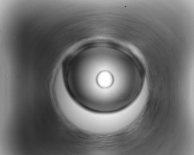 X0000088661287200706011233