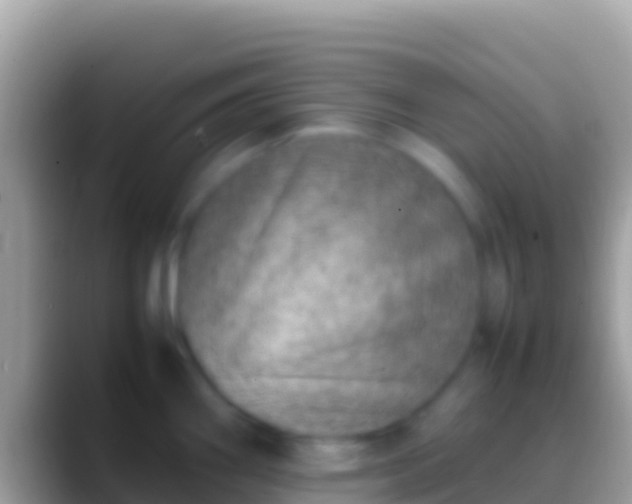 X0000088661290200706011233