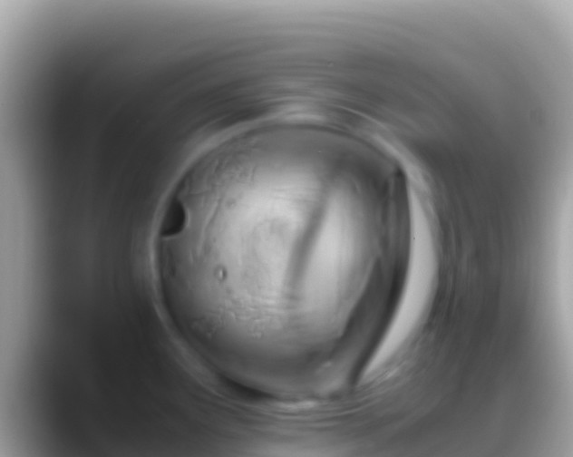 X0000088661291200706011233