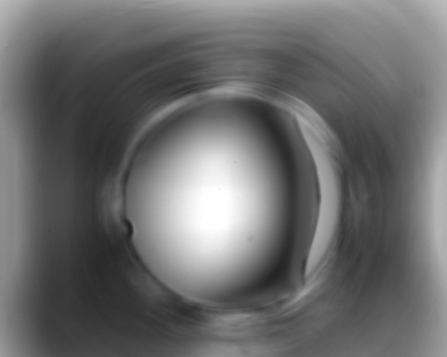 X0000088661292200706011233