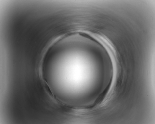 X0000088661293200706011233