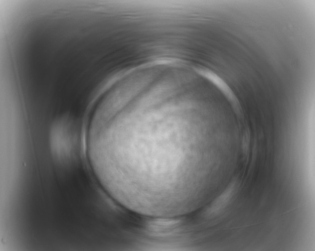 X0000088661294200706011233