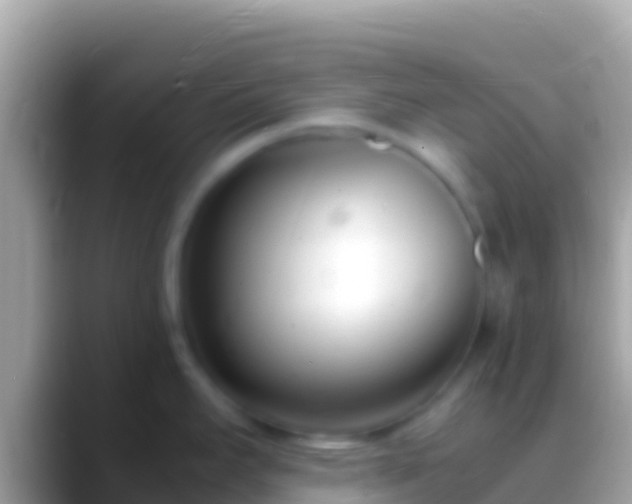 X0000088661295200706011233