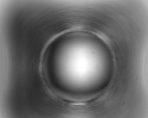 X0000088661296200706011233