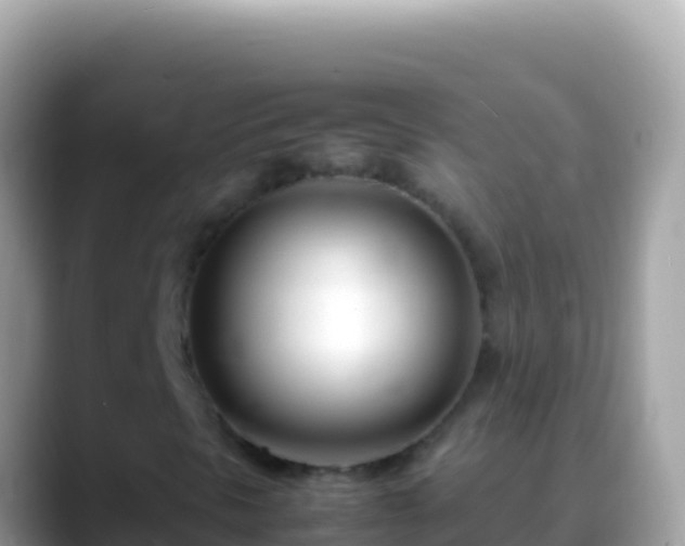 X0000088661297200706011232