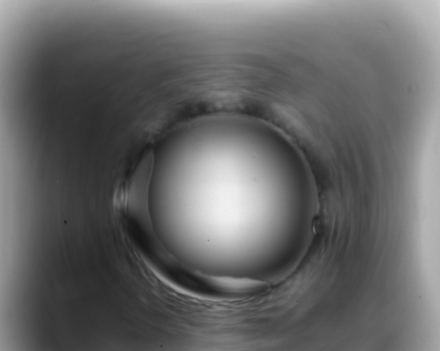 X0000088661298200706011232