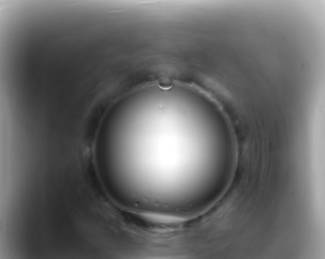 X0000088661302200706011232