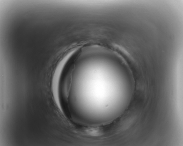 X0000088661303200706011232