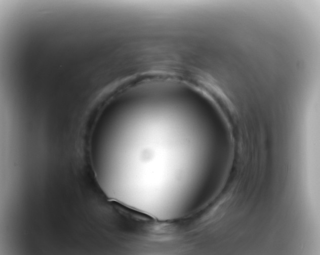 X0000088661304200706011232