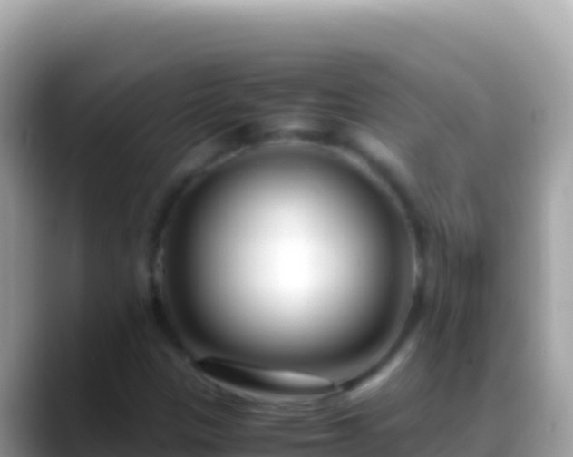 X0000088661305200706011232