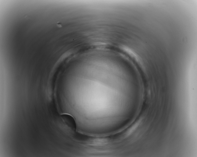 X0000088661306200706011232