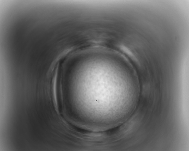 X0000088661307200706011232