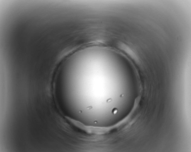 X0000088661308200706011232