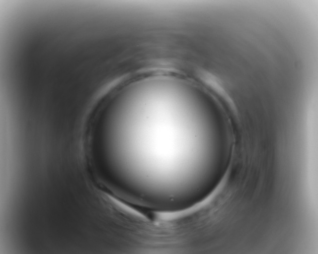 X0000088661312200706011232