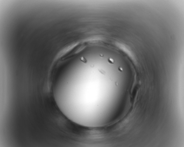 X0000088661316200706011232